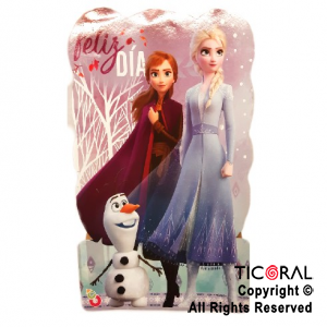 FROZEN PI?ATA CARTON x 1